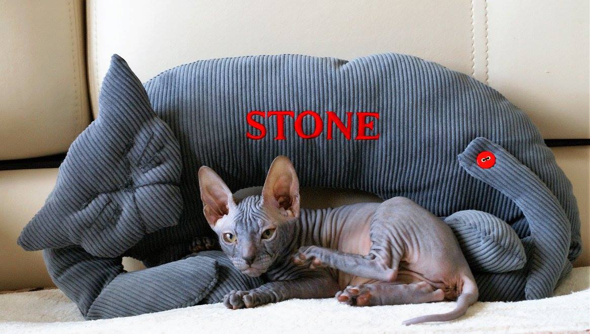 stone